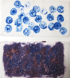 Stamping with blue Inkodye and effects of mustard seed on the Inkodye