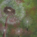 Blowing in the Wind
